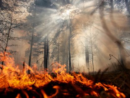 Об опасности пожаров в Сибири для Казахстана рассказал Владимир Беккер