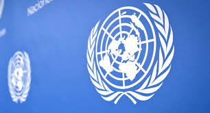 В ООН осудили действия наемников Хафтара против мирного населения Ливии