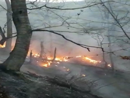 В Азербайджане в результате обстрела армянскими ВС произошли пожары в лесах и на гражданских объектах (ФОТО)