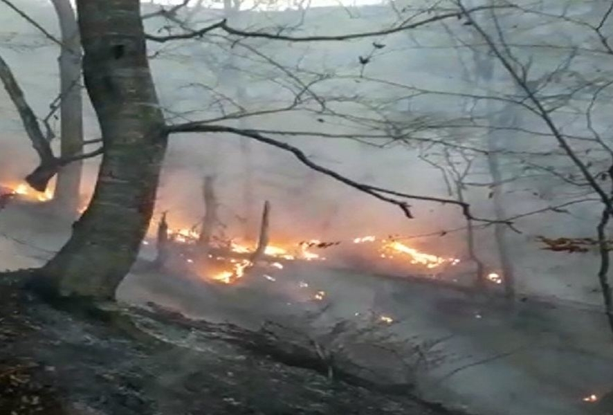 В Азербайджане в результате обстрела армянскими ВС произошли пожары в лесах и на гражданских объектах (ФОТО)