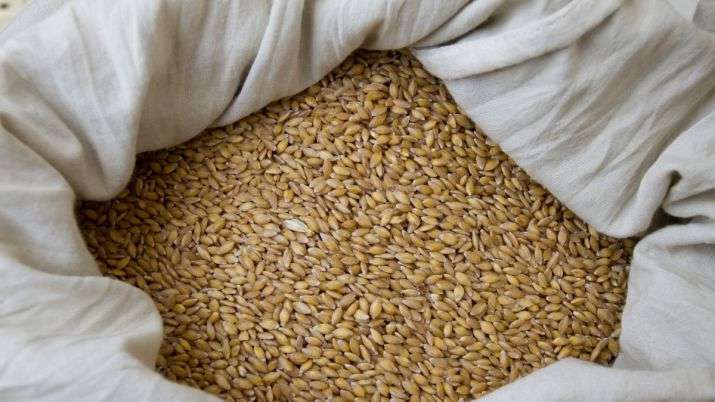 О ситуации на рынке зерна Казахстана высказались в Минсельхозе